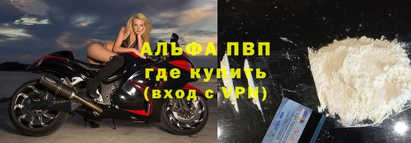 хмурый Няндома