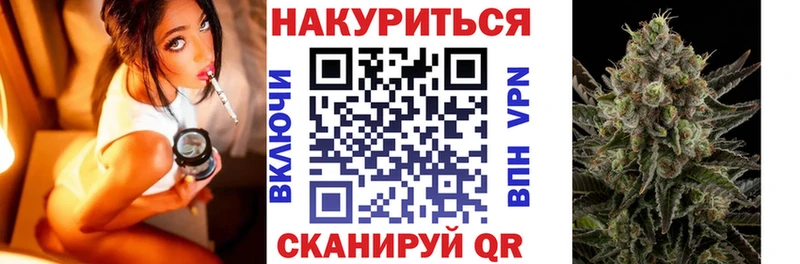 Конопля сатива  Олонец 